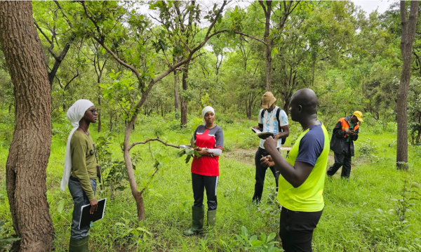 Ndeye Marie Dione Faye étudie la biodiversité