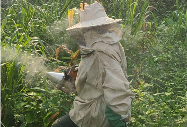 Apiculteurs en périphérie de la Réserve de Biosphère de Luki